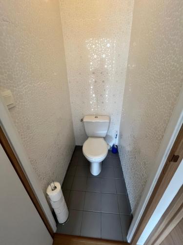 a small bathroom with a toilet in a stall at Sainghin's Break in Sainghin-en-Mélantois