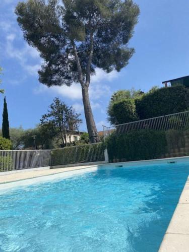 une piscine bleue avec un arbre en arrière-plan dans l'établissement Le Mas des Oliviers : Apt 4 Prs, Piscine, Parking, à Antibes