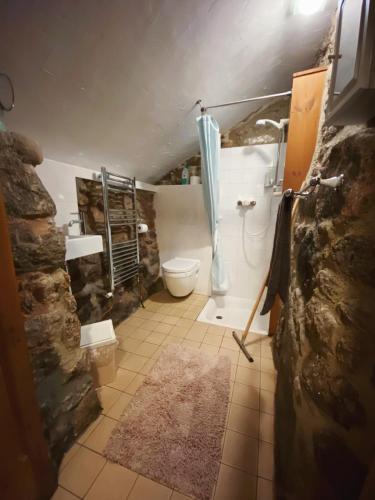 a bathroom with a shower and a toilet and a sink at Idyllic Dartmoor Cottage in Postbridge