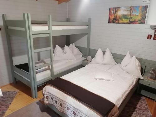 1 dormitorio con litera y escalera en Natura Chalets, en Praid