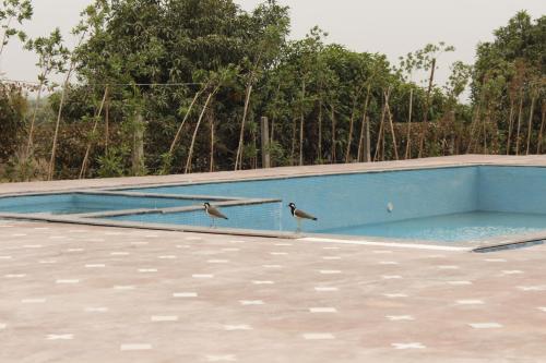 The swimming pool at or close to Farm Aavjo - A Conscious Stay