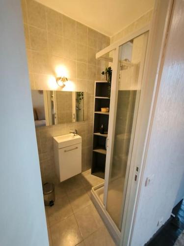 une salle de bain avec une douche, des toilettes et un lavabo dans l'établissement Élégant studio au centre-ville, à Saint-Martin-Vésubie