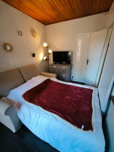 une chambre avec un lit avec une couverture rouge dessus dans l'établissement Élégant studio au centre-ville, à Saint-Martin-Vésubie