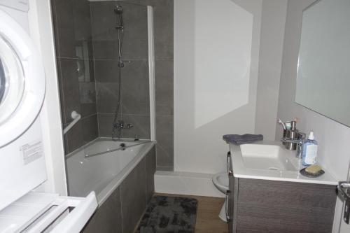 une salle de bain avec une douche, un lavabo et des toilettes dans l'établissement Lons-le Saunier Appartement Site remarquable, à Lons-le-Saunier