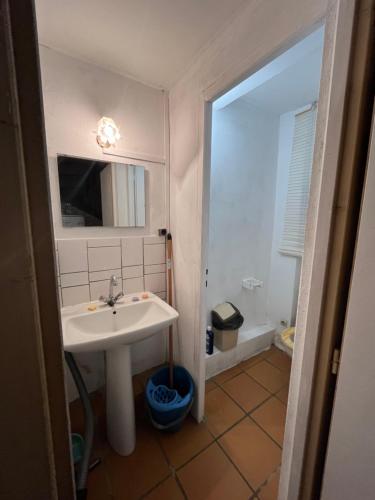 a bathroom with a sink and a tub at Maison du Fenouillet in Saint-Gervais-sur-Roubion