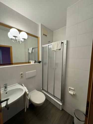 a bathroom with a toilet and a sink and a shower at Gasthaus Fischerrosl in Münsing am Starnberger See