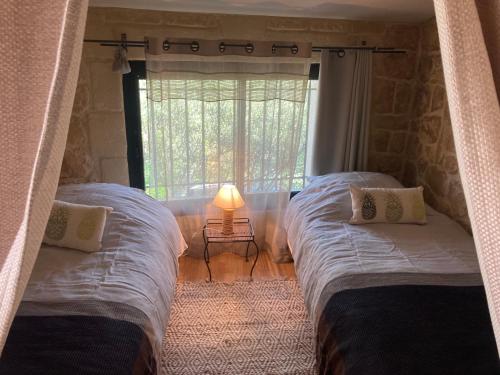 two twin beds in a room with a window at L'Estaou de Finou - Meublé de Tourisme 3 Étoiles in Saint-Paul-et-Valmalle
