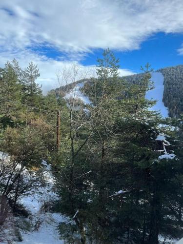 a view of a snow covered forest with trees at Charmant 2 p proche activité in Saint-Martin-Vésubie