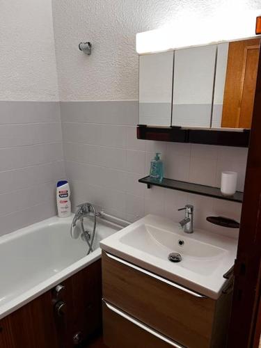 a bathroom with a sink and a bath tub at Charmant 2 p proche activité in Saint-Martin-Vésubie