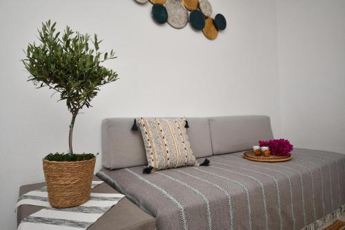 a living room with a couch and a potted plant at Paradise Apartments in Ferma