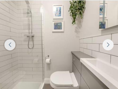 a white bathroom with a shower and a toilet at Ferrymans Rest in Dartmouth