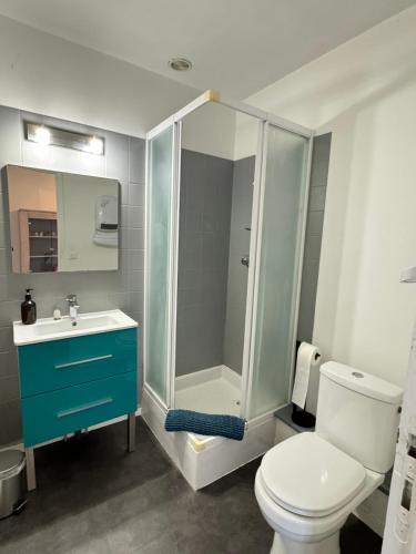 La salle de bains est pourvue d'une douche, de toilettes et d'un lavabo. dans l'établissement Côté jardin appartement centre Gramat, à Gramat