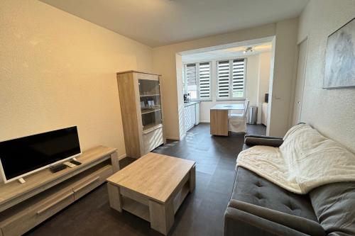 a living room with a couch and a flat screen tv at Côté jardin appartement centre Gramat in Gramat