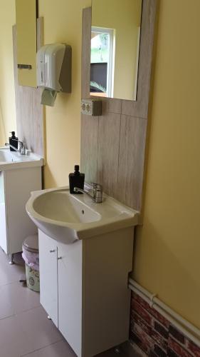 a bathroom with a sink and a mirror at Cabanutele La Denisa in Dubova