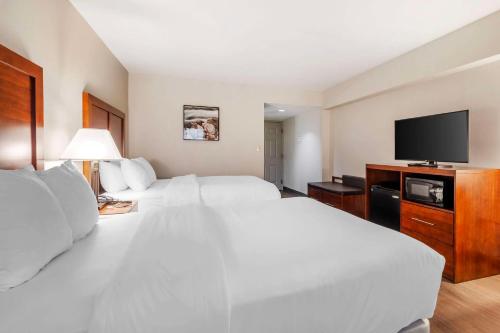 鮑伊的住宿－鮑伊會議中心康福特茵酒店，酒店客房设有两张床和一台平面电视。