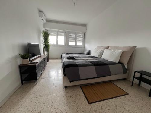1 dormitorio con 1 cama grande y TV en Atlantico Apartment, en Roma