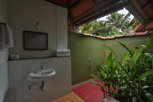 ein Badezimmer mit einem Waschbecken und einigen Pflanzen in der Unterkunft Palmgrove Lake Resort in Alappuzha