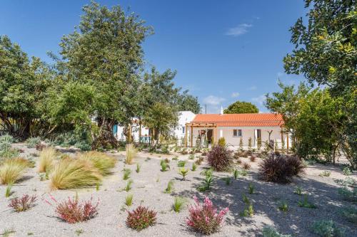 Foto Tavira-Quinta da Janela Azul 2