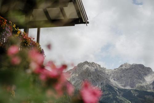 a view of a mountain with pink flowers in the foreground at Gästehaus Fritz in Mittelberg
