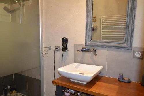 łazienka z białą umywalką i lustrem w obiekcie Chambre cosy pour 2 personnes w mieście Chef-Boutonne