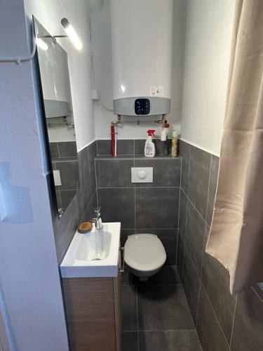 uma pequena casa de banho com WC e lavatório em Appartement cosy Place Paoli em Corte