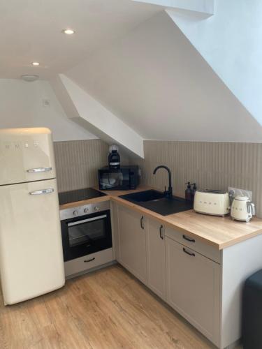 une cuisine avec un réfrigérateur blanc et un évier dans l'établissement Duplex la parenthèse bretonne, à Auray