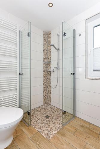 a bathroom with a glass shower with a toilet at Residenz Waterkant in Bensersiel
