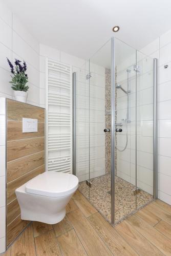 a bathroom with a toilet and a glass shower at Residenz Waterkant in Bensersiel