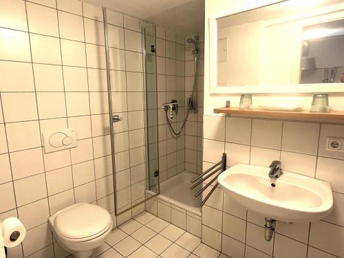 uma casa de banho com um chuveiro, um WC e um lavatório. em Atelier Seeshaupt em Seeshaupt