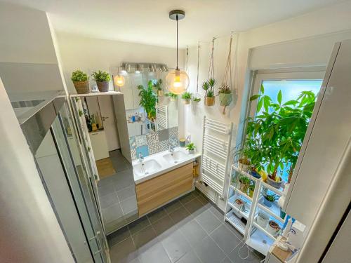 ein Badezimmer mit einem Waschbecken und Pflanzen an der Wand in der Unterkunft Chambre à Nanterre Université proche La Defense Aréna et Paris in Nanterre