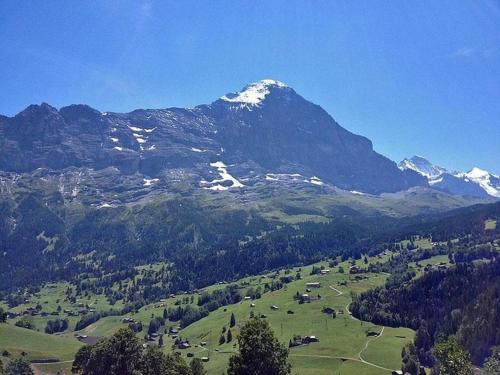 a view of a mountain with snow capped mountains at Bachsbort 14 4- Bett Wohnung Parterre, freie Sicht auf Eiger - b48638 in Grindelwald