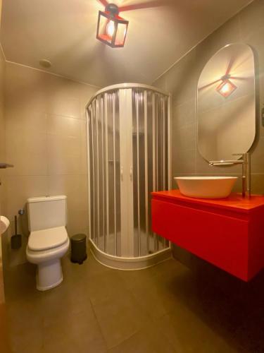 a bathroom with a toilet and a sink and a shower at Dúplex en el corazón de Haro in Haro