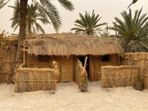 a hut with a straw roof and two palm trees at Paloma Camp in Siwa
