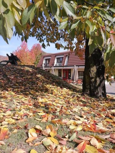 a pile of leaves on the ground in front of a house at Pensiunea Valea Lupului in Valea Lupului