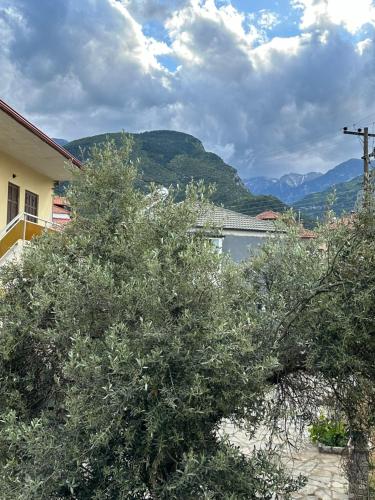 Gallery image of Vaggelis Holiday Studio in Litochoro