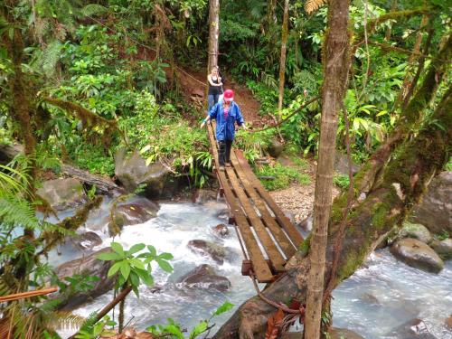 a man crossing a bridge over a stream in the jungle at Posada Río Celeste La Amistad in Rio Celeste