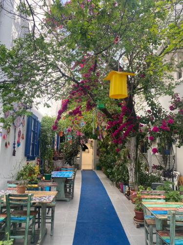 Zahrada ubytování Miss Hotel Karya