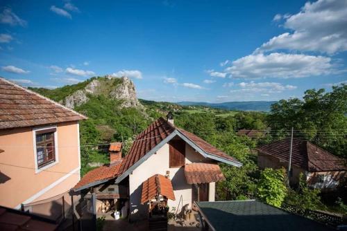 Příroda nedaleko apartmánu
