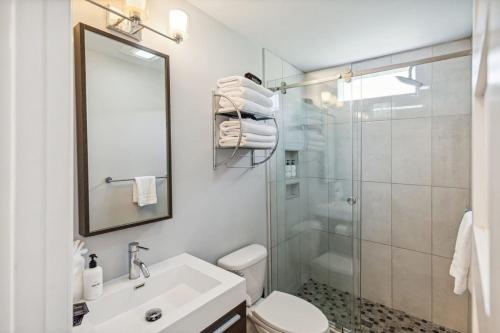 uma casa de banho com um chuveiro, um WC e um lavatório. em Freshly Renovated 2 Bedroom Apt Walk Everywhere em Charleston