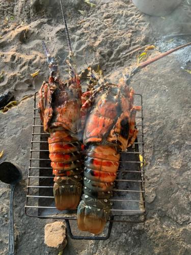 un homard cuit sur un grill sur une table dans l'établissement Maison les pieds dans l'eau (Ramena), à Andjamen