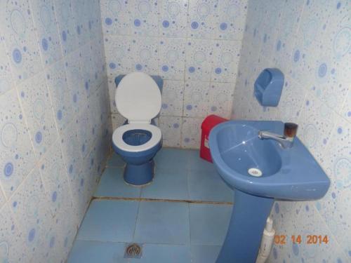 a small bathroom with a toilet and a sink at Hostal Inca Uma in Comunidad Yumani