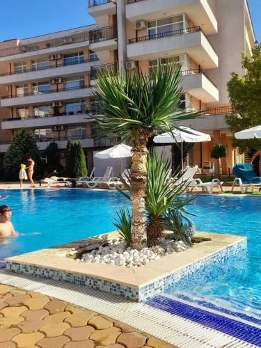 Top Studio in Big Kamelia Holiday Complex Sunny Beach