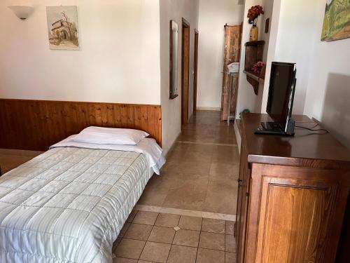 1 dormitorio con 1 cama y escritorio con TV en Poggio Baroni Agriturismo, en Manciano