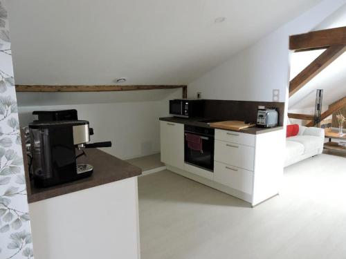 Una cocina con estufa y microondas en una habitación. en Appartement cosy proche centre, en Colmar