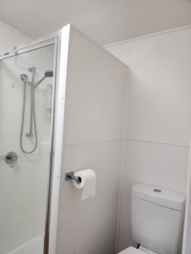 a white bathroom with a shower and a toilet at Green heavan in Greenvale