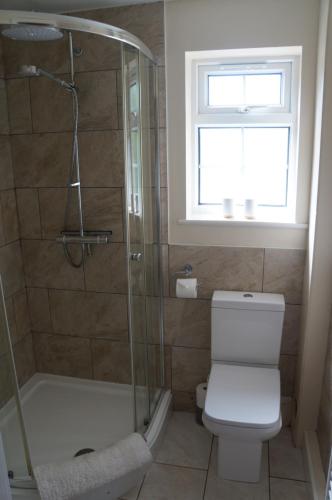 a bathroom with a shower and a toilet and a window at Burraton Cob in Exeter