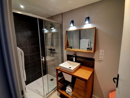 La salle de bains est pourvue d'un lavabo et d'une douche. dans l'établissement Logis Hôtel Le Beau Site, à Chambon-sur-Lac