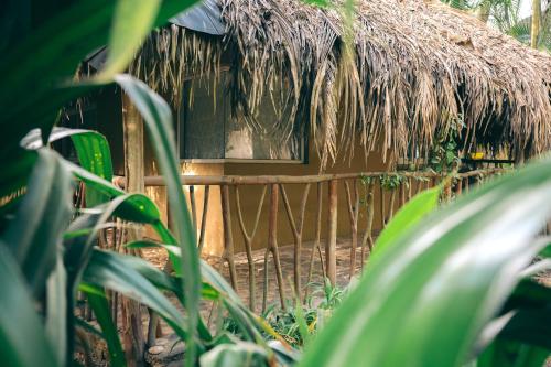 a hut with a thatch roof and a window at Junto al Rio Bungalows & Suites in Sayulita