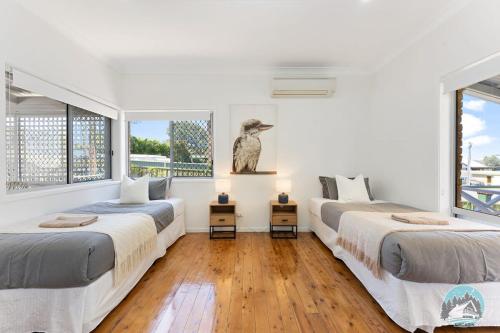 ein Schlafzimmer mit 3 Betten und einer Vogelstatue an der Wand in der Unterkunft Aircabin - Gorokan - Comfy - 4 Beds holiday House in Gorokan