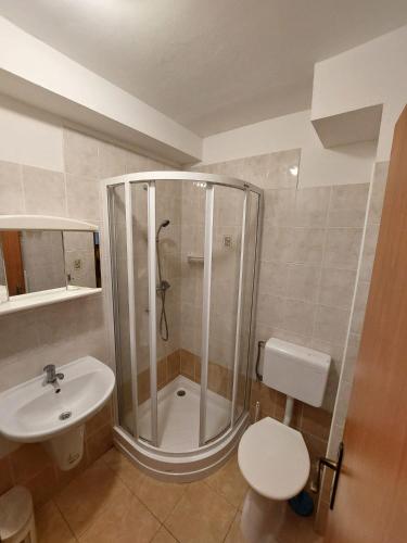a bathroom with a shower and a toilet and a sink at Hotel Bartošovice in Bartošovice v Orlických Horách